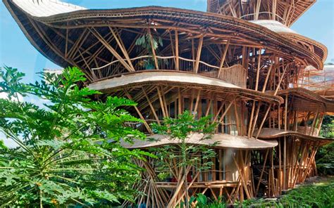 elora hardy bamboo house.